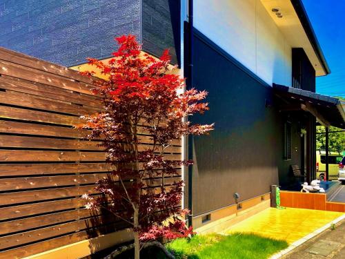 a tree with red leaves in front of a building at Ricco Mond Hills Apartment Houseアパートタイプの宿は宿泊者と接しない 安全な宿 in Nachikatsuura