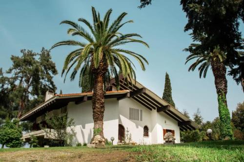 a house with two palm trees in front of it at Villa Moskoff Amina in Platamonas