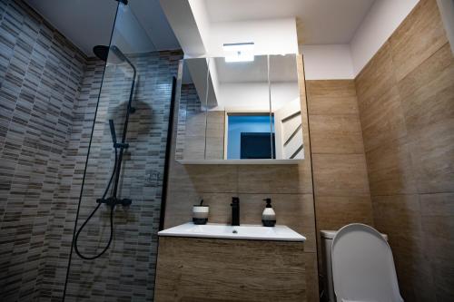 y baño con lavabo y ducha. en Apartament Natalia, en Târgu Ocna