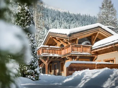 Les Rives d'Argentière photo 45