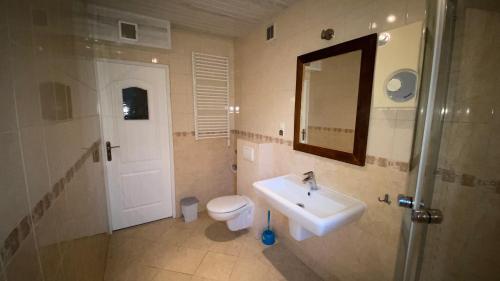 a bathroom with a sink and a toilet and a mirror at Dom murowany Siedlisko in Sarbinowo