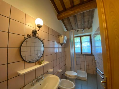 a bathroom with a sink and a toilet and a mirror at Vacanze Ideali in Paciano