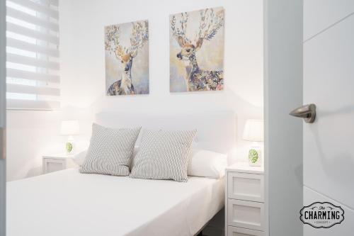 Delicias - 2 bedrooms, well connected
