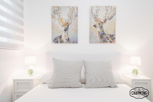 Delicias - 2 bedrooms, well connected