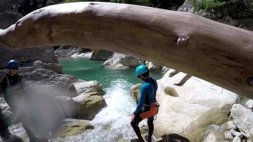 two people standing under a fallen tree over a river at Le Chalet du Berger in Briançonnet