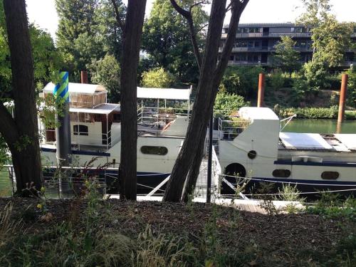 Boat For Guest – Photos 2