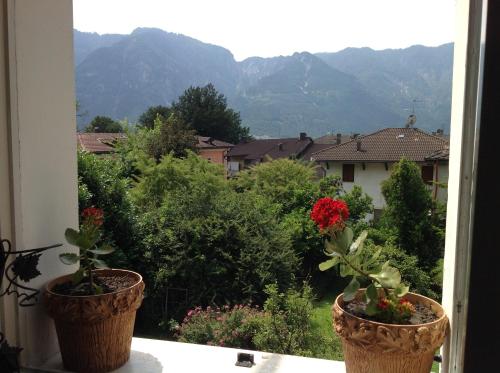 two potted plants on a window sill with a view at B&B Casa d'Arte in Levico Terme