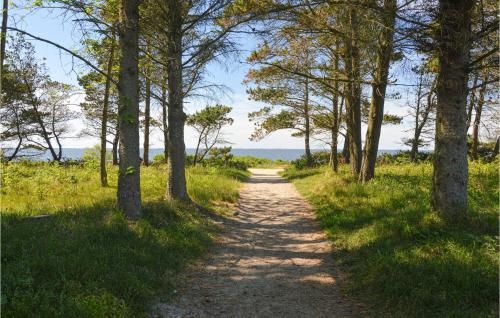 a dirt road through a field with trees at Nice Home In Tarm With Wifi in Tarm
