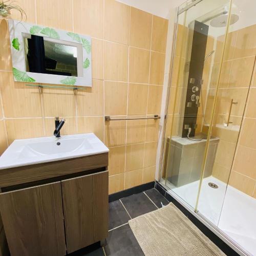a bathroom with a sink and a shower at Appartement La Perle Noire in Agde