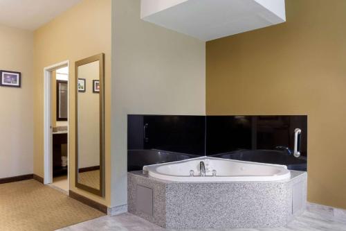 Kupatilo u objektu Comfort Inn & Suites