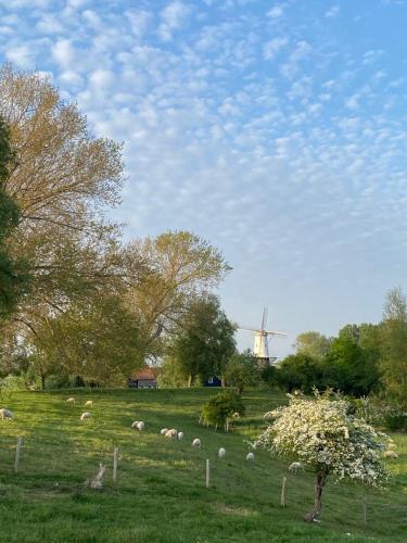 Kievitenlaan 1 'Nescio' – Photos 2