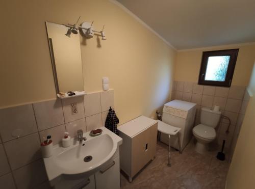 a bathroom with a sink and a toilet and a mirror at Dom Nad Jeziorem in Szteklin