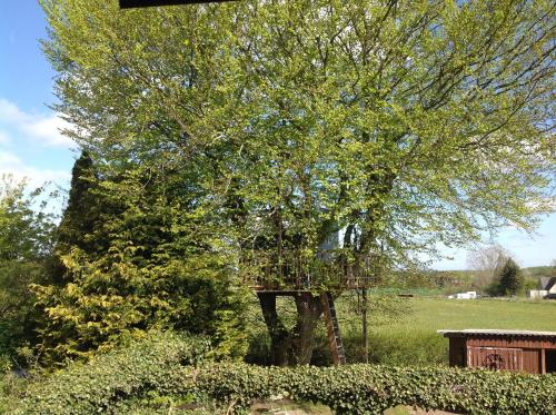 un árbol con un alimentador de aves en un campo en Treehouse escape, en Kværndrup