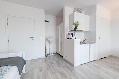 Kuchyň nebo kuchyňský kout v ubytování Pod Winogronem - Apartamenty z basenem i wyżywieniem