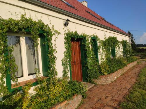 Vonkajšia záhrada v ubytovaní Srokowski Dwór 1 - Mazurski Dwór - 450m2