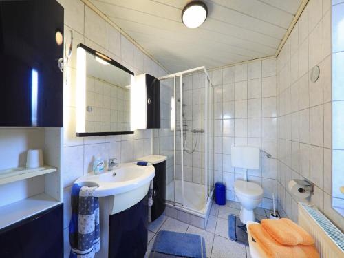 een badkamer met een wastafel, een douche en een toilet bij Haus Marianne in Schafstedt