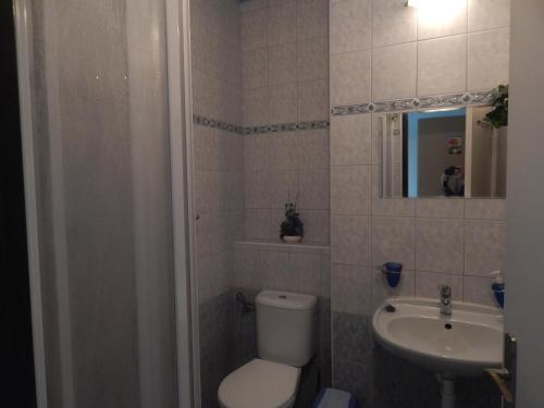 a bathroom with a toilet and a sink at Wellness penzion Harmonie Rohanov in Prachatice