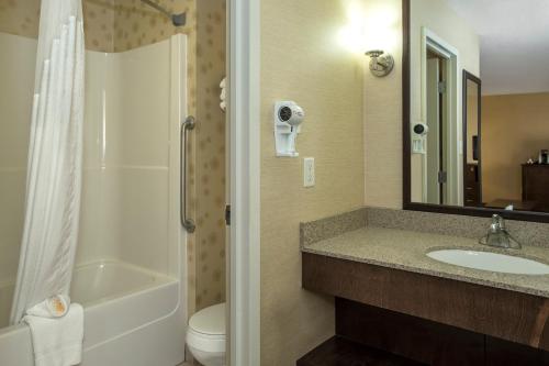 a bathroom with a sink and a toilet and a mirror at Holiday Inn Lethbridge by IHG in Lethbridge