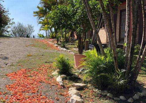 a yard with red leaves on the ground next to a house at Pousada Halliny do Rosa in Praia do Rosa