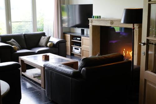 a living room with two couches and a fireplace at B&B Domaine du Vieux Chêne in Stoumont
