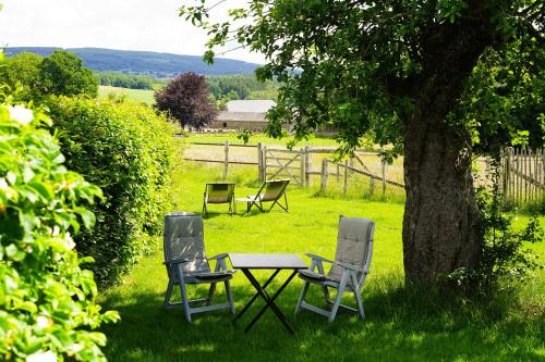three chairs and a table under a tree in the grass at B&B Domaine du Vieux Chêne in Stoumont