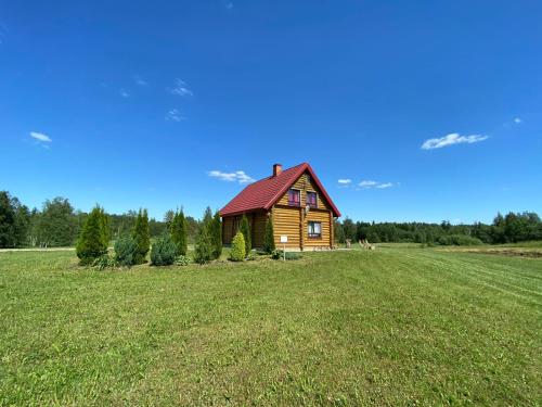 mały drewniany domek na polu trawy w obiekcie Žubītes w mieście Bērzgale
