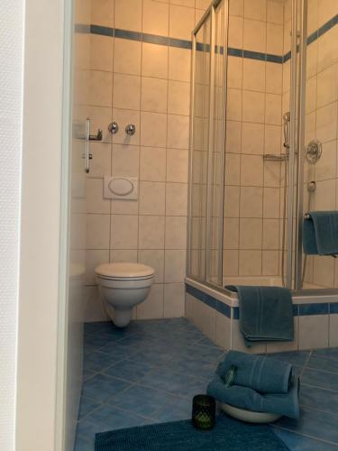 a bathroom with a toilet and a shower and a rug at Landshuter Hof in Straubing