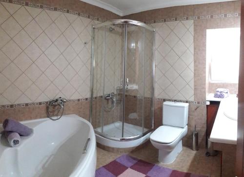 a bathroom with a shower and a tub and a toilet at House Fox in Iraklitsa