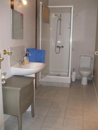 une salle de bain avec un lavabo, une douche et des toilettes dans l'établissement Bed and Breakfast Dunroamin, à Couture-dʼArgenson