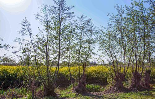 Het Polderhuisje – Photos 5