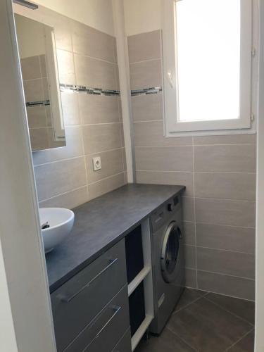 une salle de bain avec un lavabo et une machine à laver dans l'établissement STUDIO CLIMATISé RENOVé, à Palavas-les-Flots