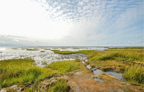 a beach with grass and water and a cloudy sky at Pet Friendly Home In Skærbæk in Skærbæk