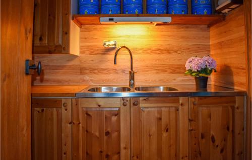 La cuisine est équipée d'un évier et de placards en bois. dans l'établissement 2 Bedroom Amazing Home In deshg, à Ödeshög
