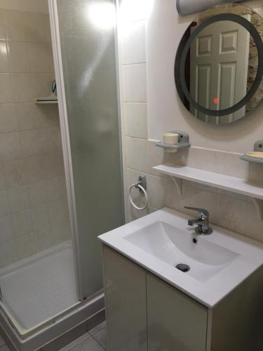 ein Badezimmer mit Waschbecken, Dusche und Spiegel in der Unterkunft LES GRANGES in Les Lèves-et-Thoumeyragues