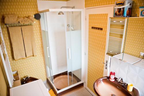 La salle de bains est pourvue d'un lavabo et d'une douche. dans l'établissement Gîte Version 70, à Mondrepuis