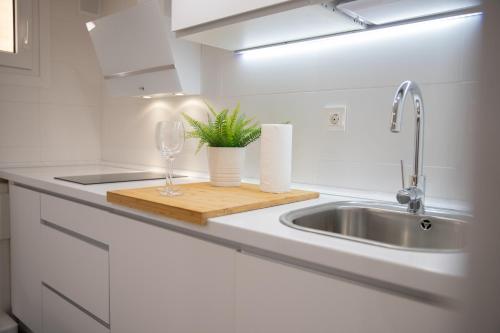 a kitchen counter with a sink and a plant on a cutting board at Apartamento Logroño Parlamento in Logroño