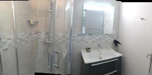 a bathroom with a shower and a sink and a mirror at LE PONT NEUF 61 in Alençon