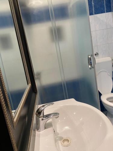 a bathroom with a sink and a shower and a toilet at Apartments Tajana in Novigrad Istria