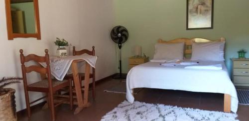 a bedroom with a bed and a table and a chair at Pousada Beira rio in Visconde De Maua