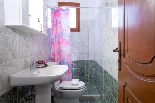 a bathroom with a sink and a toilet at Giapis apartment in Mikros Gialos