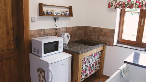 a kitchen with a microwave on top of a refrigerator at Doubický Venkov in Doubice