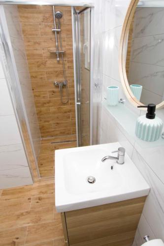 a bathroom with a sink and a shower with a mirror at Apartmani Rustica in Drasnice