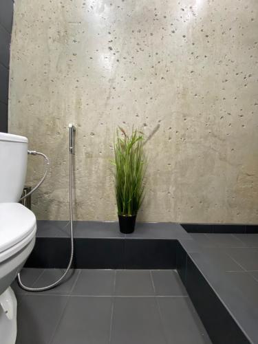 a bathroom with a toilet and a potted plant at Apartments24 Laada 4 in Rakvere