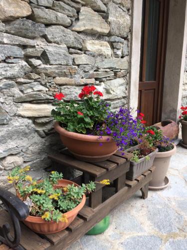 Tres macetas de flores están sentadas en una mesa de madera. en Casa Rimasco, en Rimasco