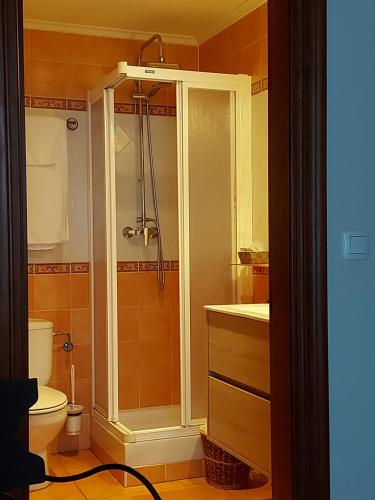 a bathroom with a shower and a toilet at Casa de Labranza Ría de Castellanos in Arnuero