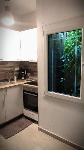 Η κουζίνα ή μικρή κουζίνα στο The green apartment