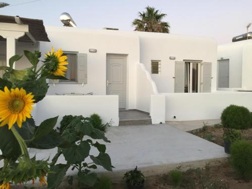 Gallery image of Diogenis Village Mykonos in Glastros