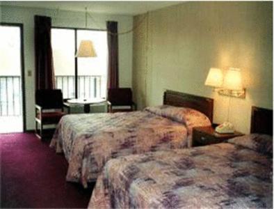 Cette chambre comprend 2 lits et une fenêtre. dans l'établissement Twinkle Inn, à Branson