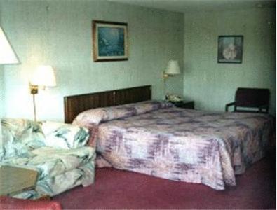 a hotel room with a bed and a couch at Twinkle Inn in Branson