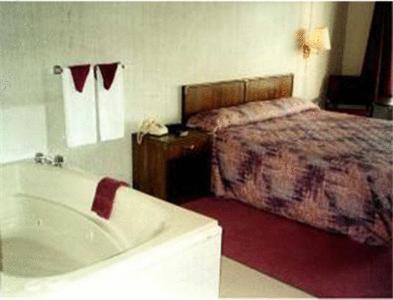 a bathroom with a bed and a bath tub next to a bed at Twinkle Inn in Branson